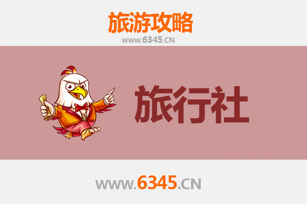 普洱思茅旅行社精选推荐：探索茶马古道与雨林秘境的完美指南